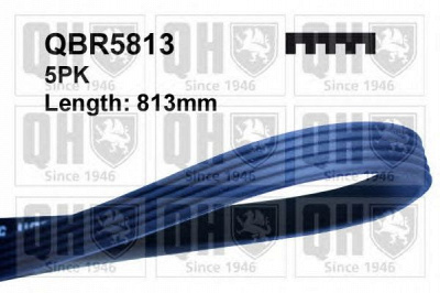 QUINTON HAZELL qbr5813 -  Поликлиновой ремень